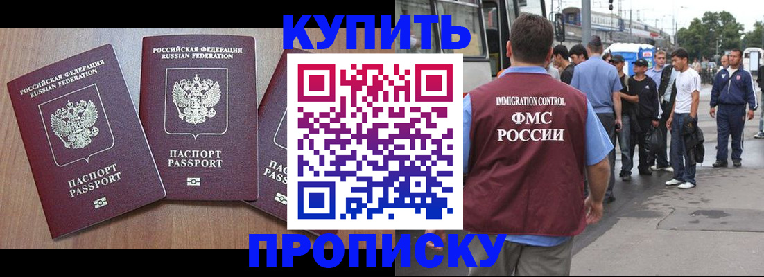 прописка 2025 в Камешково